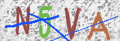 CAPTCHA-billede